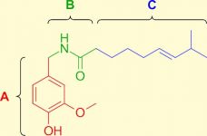Capsaicin kæde - 2D structure of capsaicin pharmacophore 8-Methyl-N-vanillyl-trans-6-nonenamid
